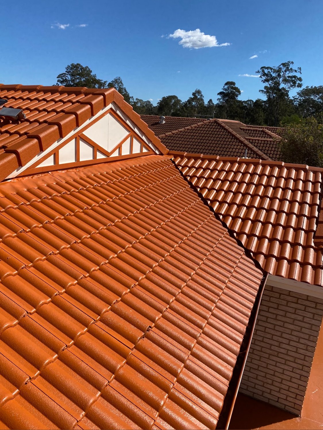 Roof Repair Services